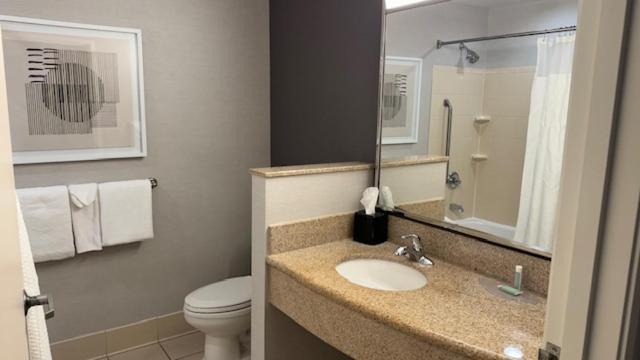 Hotel Courtyard By Marriott Kingston