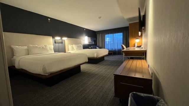 Hotel Courtyard By Marriott Kingston